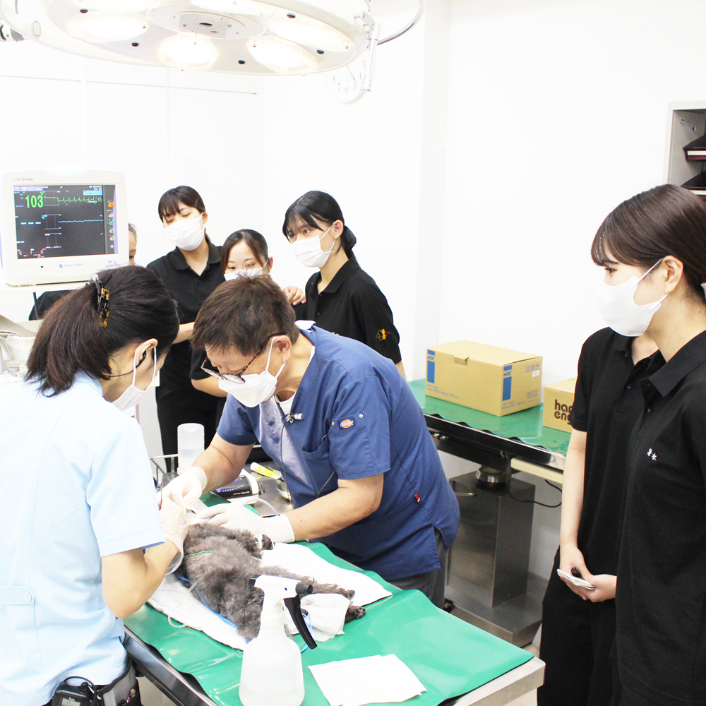 歯石除去処置の勉強会☆